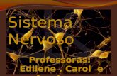 Sistema Nervoso Professoras: Edilene, Carol e Ana Laura.