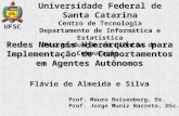 Redes Neurais Hierárquicas para Implementação de Comportamentos em Agentes Autônomos Flávio de Almeida e Silva Universidade Federal de Santa Catarina Centro.