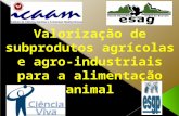 Subproduto agrícola Subproduto agro-industrial redução de resíduos das indústrias; diminuição de custos para os criadores de animais.