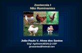 Zootecnia I Não Ruminantes João Paulo V. Alves dos Santos Eng° Agrônomo/ESALQ-USP jpvasantos@hotmail.com.