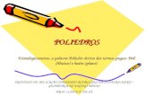 POLIEDROS POLIEDROS Etimologicamente, a palavra Poliedro deriva dos termos gregos: Poli (Muitos) e hedro (plano). INSTITUTO DE APLICAÇÃO FERNANDO RODRIGUES.