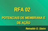 Reinaldo O. Sieiro RFA 02 POTENCIAIS DE MEMBRANA E DE AÇÃO RFA 02 POTENCIAIS DE MEMBRANA E DE AÇÃO.