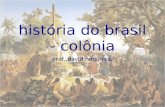 História do brasil - colônia prof. david nogueira.