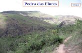 Clique Pedra das Flores Pedra das Flores é o nome dado à parte mais alta da serra do Capim, local onde nasce o rio Calçado, que divide São José do Vale.