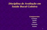 1 Disciplina de Avaliação em Saúde Bucal Coletiva Componentes Cristiane Danilo Ellena Fernanda Juliano.