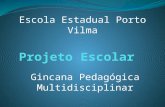Gincana Pedagógica Multidisciplinar Escola Estadual Porto Vilma.