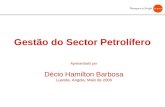 Gestão do Sector Petrolífero Apresentado por Décio Hamilton Barbosa Luanda, Angola, Maio de 2006.
