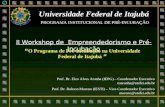 Universidade Federal de Itajubá PROGRAMA INSTITUCIONAL DE PRÉ-INCUBAÇÃO Prof. Dr. Elzo Alves Aranha (IEPG) – Coordenador Executivo eaaranha@unifei.edu.br.