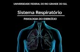 Sistema Respiratório UNIVERSIDADE FEDERAL DO RIO GRANDE DO SUL FISIOLOGIA DO EXERCÍCIO.