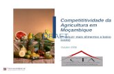 DRAFT Competititividade da Agricultura em Moçambique (Produzir mais alimentos a baixo custo) Outubro 2008.