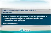 DIREITO DO PETRÓLEO, GÁS E ENERGIA Profª. Elaine Ribeiro Aula 2: Aula 2: Direito do petróleo, a lei do petróleo e contratos nacionais e internacionais.