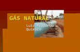 GÁS NATURAL Luiz Fernando - Químico. O Gás Natural.