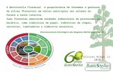 A Battistella Florestal é proprietária de fazendas e gestoras de ativos florestais em vários municípios nos estados do Paraná e Santa Catarina. Suas florestas.