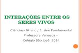 INTERAÇÕES ENTRE OS SERES VIVOS Ciências- 6º ano / Ensino Fundamental Professora Vanesca – Colégio São José- 2014.