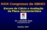 XXIX Congresso da SBHCI Escore de Cálcio e Avaliação da Placa Aterosclerótica Dr. Leonardo Sara leosara@hotmail.com Brasília, 2007.