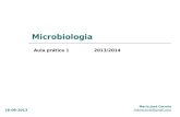Microbiologia Aula prática 1 Maria José Correia mariacorrei@gmail.com 2013/2014 16-09-2013.