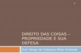DIREITO DAS COISAS – PROPRIEDADE E SUA DEFESA Prof. Diogo de Calasans Melo Andrade 1.