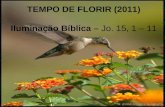TEMPO DE FLORIR (2011) Iluminação Bíblica – Jo. 15, 1 – 11.