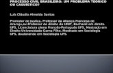 A INTERVENÇÃO DO MINISTÉRIO PÚBLICO NO PROCESSO CIVIL BRASILEIRO: UM PROBLEMA TEÓRICO OU CASUÍSTICO? Luís Cláudio Almeida Santos Promotor de Justiça, Professor.