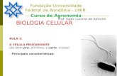 Fundação Universidade Federal de Rondônia - UNIR Curso de Agronomia Prof. Isaac Lucena de Amorim AULA 2: A CÉLULA PROCARIONTE (do latim pro, primitivo,