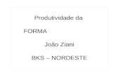 Produtividade da FORMA João Ziani BKS – NORDESTE.
