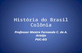 História do Brasil Colônia Professor Mestre Fernando C. de A. Araújo PUC-GO.