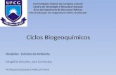 Ciclos Biogeoquímicos Disciplina: Ciências do Ambiente Estagiário Docente: José Guimarães Professora Doutora Márcia Maria Universidade Federal de Campina.