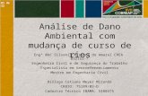 Análise de Dano Ambiental com mudança de curso de rios Engª MsC Silvania Miranda do Amaral CREA 032153-7 Engenheira Civil e de Segurança do Trabalho Especialista.