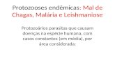 Protozooses endêmicas: Mal de Chagas, Malária e Leishmaniose Protozoários parasitas que causam doenças na espécie humana, com casos constantes (em média),
