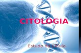 A Célula CitologiaMicroscópio É a área da Biologia responsável pelo estudo da célula. Depois do aprimoramento desse instrumento tornou-se possível o estudo.