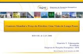 Rio de Janeiro, 16 de Setembro de 2008 Mauricio T. Tolmasquim Presidente Empresa de Pesquisa Energética - EPE Contexto Mundial e Preço do Petróleo: Uma.