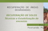 RECUPERAÇÃO DE ÁREAS DEGRADADAS RECUPERAÇÃO DE SOLOS Técnicas e Estabilização de encostas Prof. Fernando Pires.