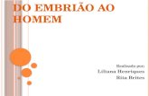 DO EMBRIÃO AO HOMEM Realizado por: Liliana Henriques Rita Brites.