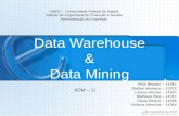 UNIFEI – Universidade Federal de Itajubá Instituto de Engenharia de Produção e Gestão Administração de Empresas Data Warehouse & Data Mining Alice Beraldo.