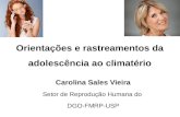 Orientações e rastreamentos da adolescência ao climatério Carolina Sales Vieira Setor de Reprodução Humana do DGO-FMRP-USP.