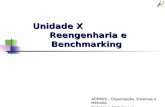 Unidade X Reengenharia e Benchmarking ADM005 – Organização, Sistemas e Métodos Professora Michelle Luz.