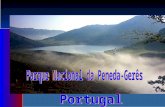 Único parque nacional de Portugal Situa-se no extremo nordeste do Minho, fazendo fronteira com a Galiza. Área total: 72.000 hectares Parque Nacional.