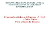 GERÊNCIA REGIONAL DE SETE LAGOAS COORDENADORIA DE VIGILÂNCIA EPIDEMIOLÓGICA Orientações Sobre a Influenza A H1N1 - Gripe Suína - Para a Rede de Ensino.