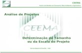 Análise de Projetos Determinação do Tamanho ou da Escala do Projeto.