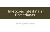 Infecções Intestinais Bacterianas Prof. Valdes Roberto Bollela.