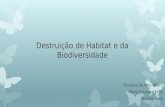 Destruição de Habitat e da Biodiversidade Giuliana do Vale Milani Maria Eduarda Setti Tatiana Rosa.