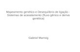 Mapeamento genético e Desequilibrio de ligação - Sistemas de acasalamento (fluxo gênico e deriva genética) Gabriel Marroig.