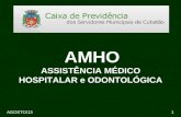 AGOSTO/131 AMHO ASSISTÊNCIA MÉDICO HOSPITALAR e ODONTOLÓGICA.