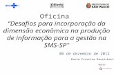 Oficina Desafios para incorporação da dimensão econômica na produção de informação para a gestão na SMS-SP" 06 de dezembro de 2012 Apoio: Katia Cristina.