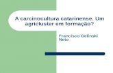 A carcinocultura catarinense. Um agricluster em formação? Francisco Gelinski Neto.