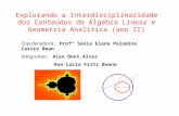 Explorando a Interdisciplinaridade dos Conteúdos de Álgebra Linear e Geometria Analítica (ano II) Coordenadora: Profª Sonia Elena Palomino Castro Bean.