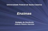 Universidade Federal de Santa Catarina Enzimas Estágio de Docência Juliana Ribeiro Mariotto.
