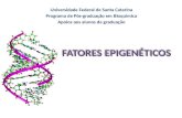 Universidade Federal de Santa Catarina Programa de Pós-graduação em Bioquímica Apoios aos alunos de graduação.