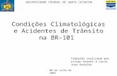 Condições Climatológicas e Acidentes de Trânsito na BR-101 UNIVERSIDADE FEDERAL DE SANTA CATARINA Trabalho realizado por Lilian Diesel e Lúcio José Botelho.