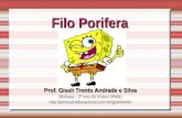 Filo Porifera Prof. Giseli Trento Andrade e Silva Biologia – 2º ano do Ensino Médio .